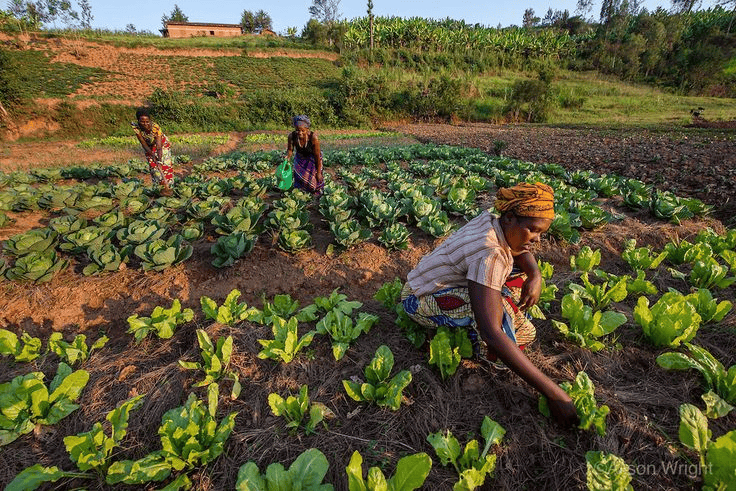 12 jpg alison wright photography