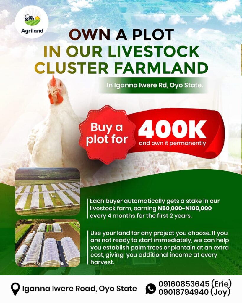 47e82cf8 b13d 4bd4 8245 bd2376218504