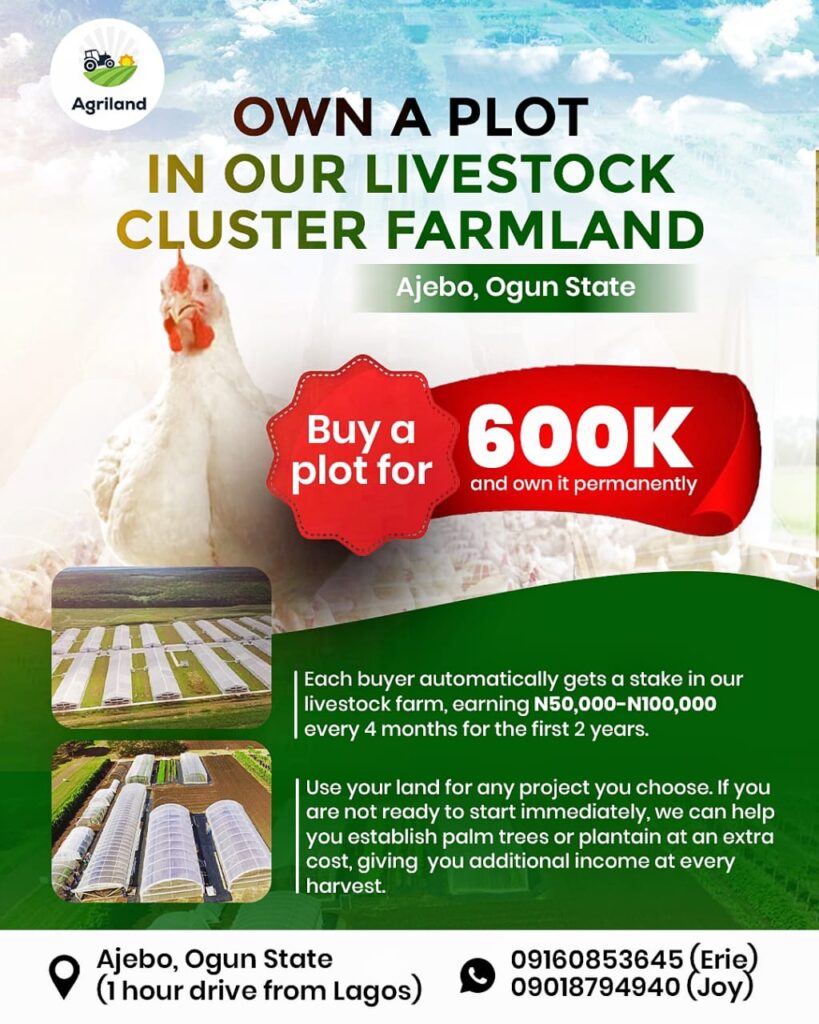 cf03a54e afea 4cce a8f5 06fee98eaefa