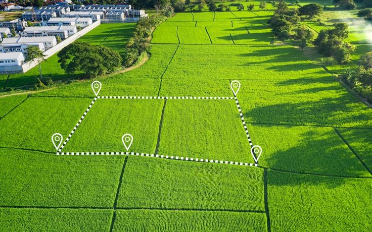 services-1 download (12)