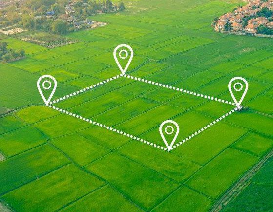 vegetative-roof У власність держави конфісковано земельну ділянку в громадянки рф